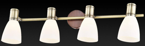 Спот Toplight Sharyl TL3720Y-04BB