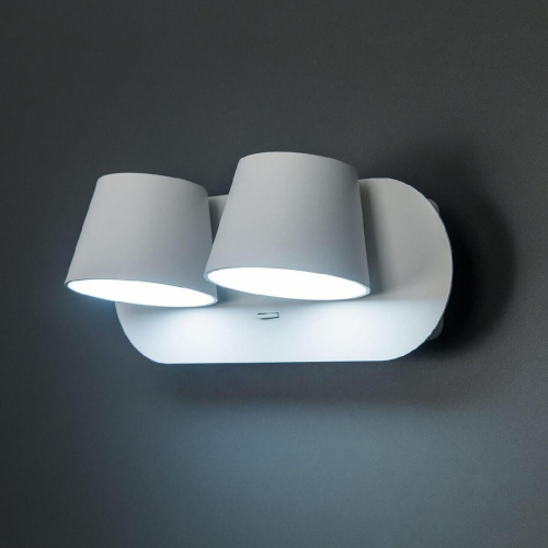 Спот Citilux Норман CL533320N