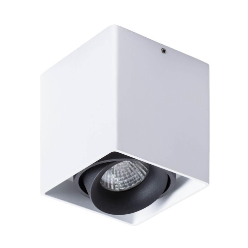 Потолочный светильник Arte Lamp Pictor A5654PL-1WH Потолочный светильник Arte Lamp Pictor A5654PL-1WH