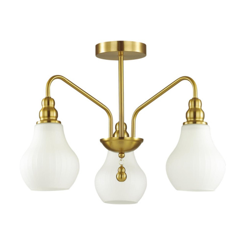 Потолочная люстра Lumion Moderni Eleonora 4562/3C