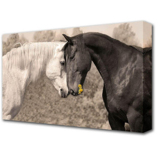 Холст Toplight 60х100х3см TL-H1050