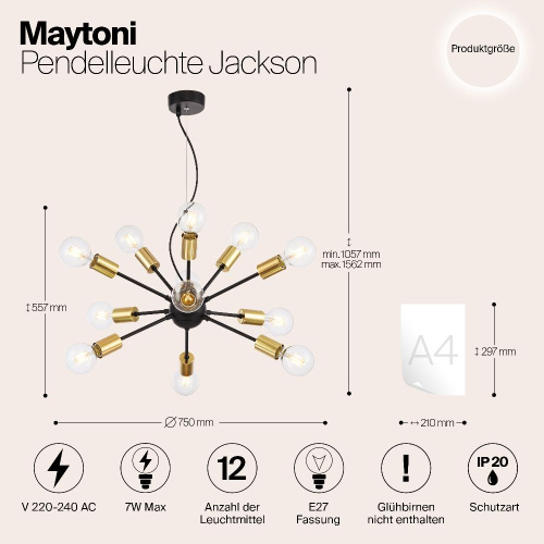 Подвесная люстра Maytoni Jackson T546PL-12B