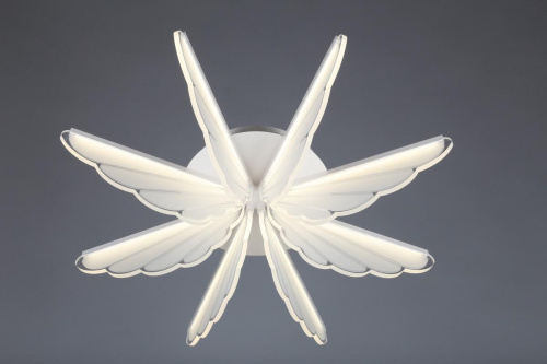 Потолочная светодиодная люстра Omnilux OML-48207-80