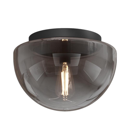 Потолочный светильник Maytoni MOD270CL-01B Потолочный светильник Maytoni MOD270CL-01B