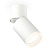Комплект спота Ambrella light Techno Spot XM (A2220, C6312, N6245) XM6312081