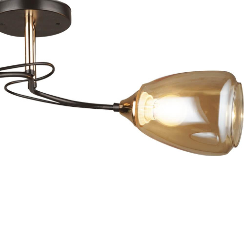 Потолочная люстра Wedo Light Сабато 66267.01.69.02