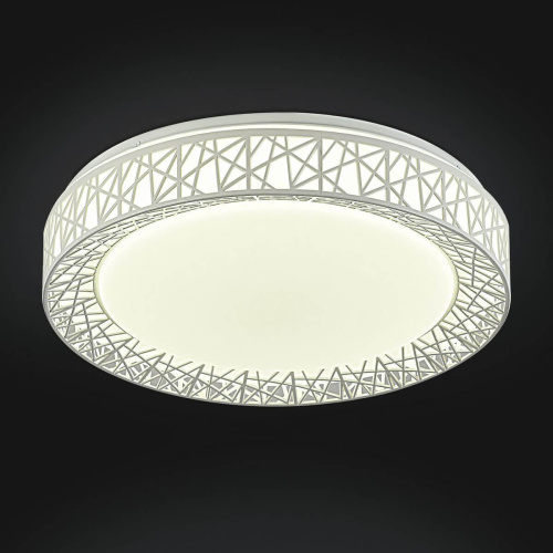 Потолочный светодиодный светильник F-Promo Creatura 2314-5C