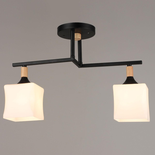 Потолочный светильник Reluce 04609-0.3-02 Потолочный светильник Reluce 04609-0.3-02