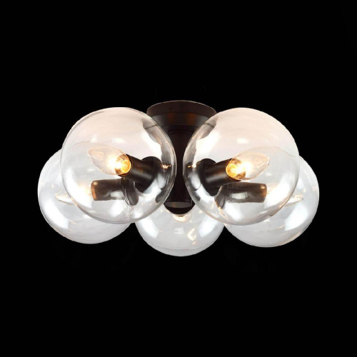 Потолочная люстра Evoluce Rosello SL424.402.05