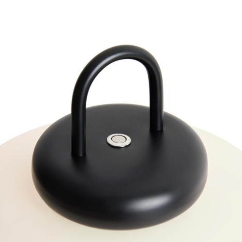 Настольный светильник Freya FR6175TL-L10B