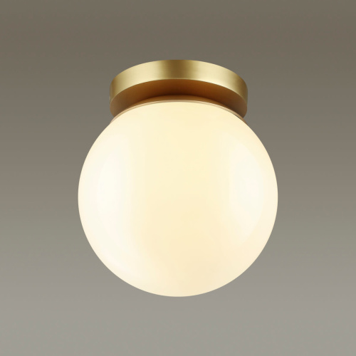 Потолочный светильник Odeon Light Bosco 4247/1C