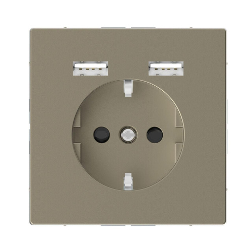 Розетка компьютерная USBx2 Schneider Electric Merten D-Life MTN2366-6033
