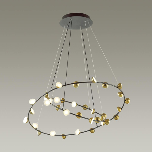 Подвесная светодиодная люстра Odeon Light Verica 4156/99L Подвесная светодиодная люстра Odeon Light Verica 4156/99L