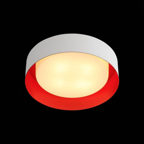 Потолочный светильник ST Luce Chio SL392.562.04 Потолочный светильник ST Luce Chio SL392.562.04