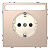 Розетка Schneider Electric Merten D-Life 16A с/з MTN2302-6051