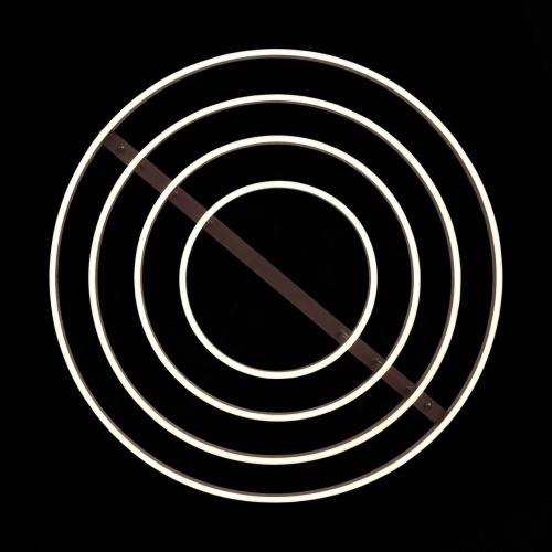 Потолочная светодиодная люстра ST Luce Onze SL944.402.04