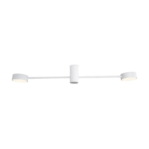 Потолочный светильник Freya FR5363CL-02W1 Потолочный светильник Freya FR5363CL-02W1