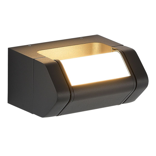 Уличный настенный светодиодный светильник ST Luce Protech SL9540.701.01