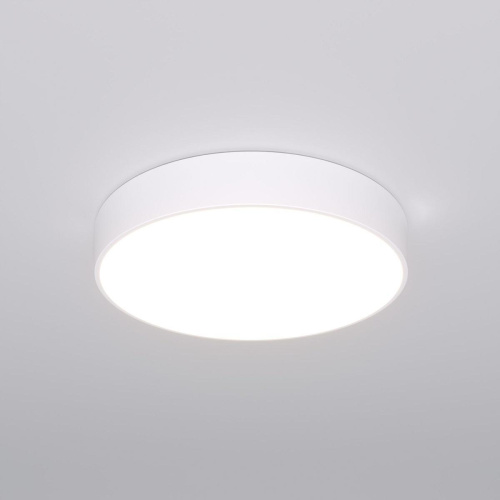 Потолочный светодиодный светильник Eurosvet Entire 90319/1 белый