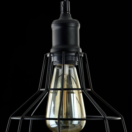 Подвесной светильник Maytoni Denver T448-PL-01-B