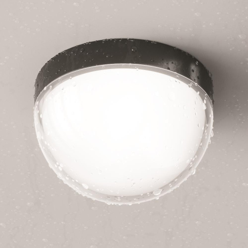 Потолочный светильник Outdoor O438CL-L12GF3K Потолочный светильник Outdoor O438CL-L12GF3K