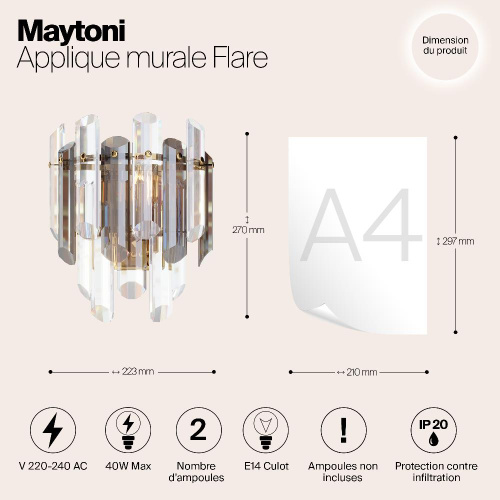 Настенный светильник Maytoni Flare DIA200WL-02G