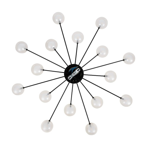 Потолочный светильник Freya FR5242CL-16B1 Потолочный светильник Freya FR5242CL-16B1