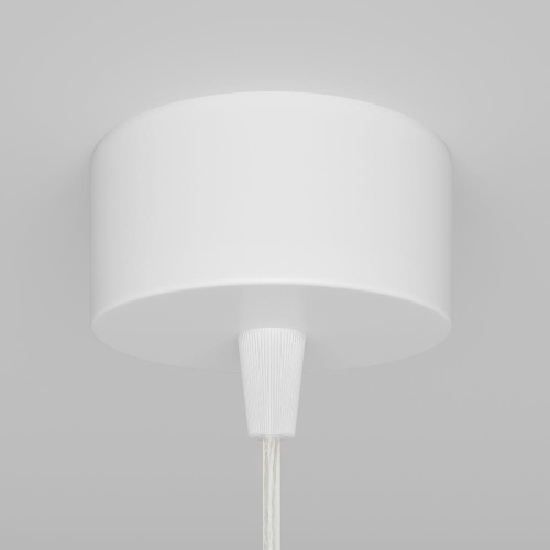 Подвесной светильник Maytoni Technical Focus P075PL-01W