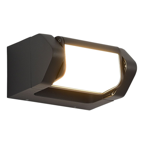 Уличный настенный светодиодный светильник ST Luce Protech SL9540.701.01