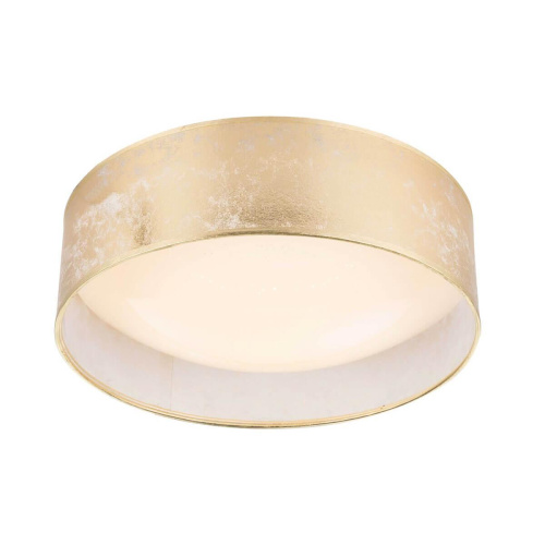 Потолочный светодиодный светильник Globo Amy 15187D7 Потолочный светодиодный светильник Globo Amy 15187D7