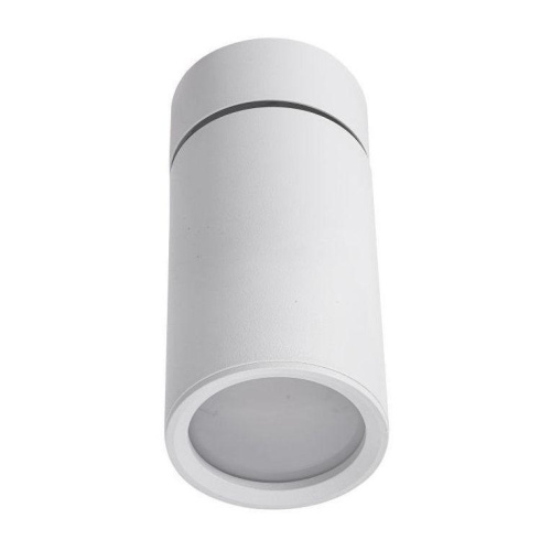 Потолочный светильник Lucia Tucci LTP-C007-01GU10-W