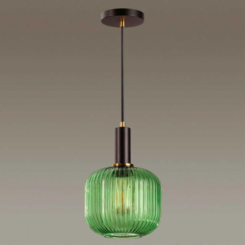 Подвесной светильник Lumion Merlin 4462/1