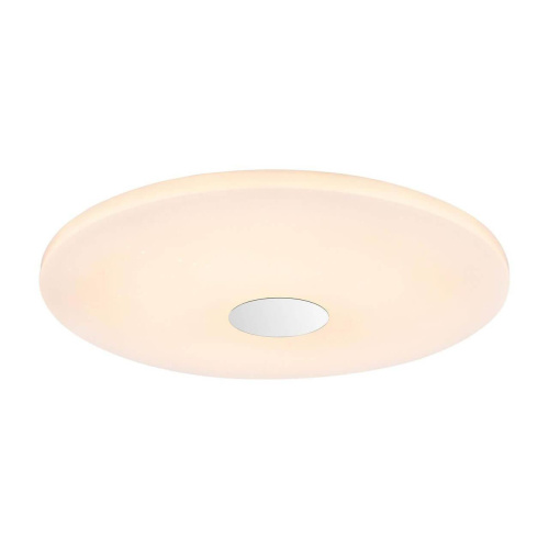 Потолочный светодиодный светильник Globo Dani 48389-60