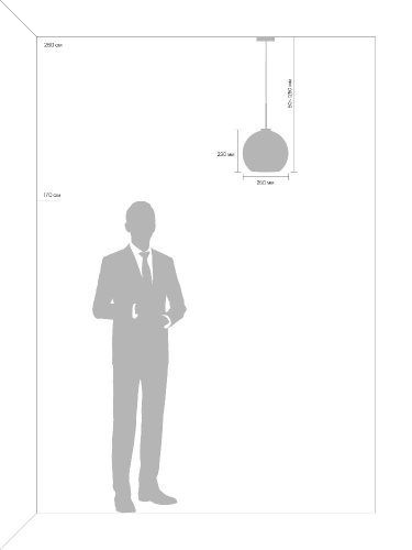 Подвесной светильник Freya Bravis FR8006PL-01BS