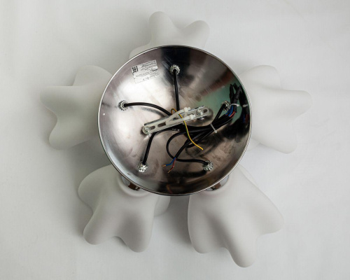 Потолочная люстра Escada 8008/6PL