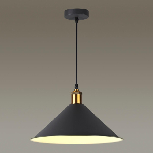 Подвесной светильник Odeon Light Agra 3364/1