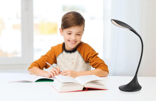 Настольная лампа Globo Shannon 58243