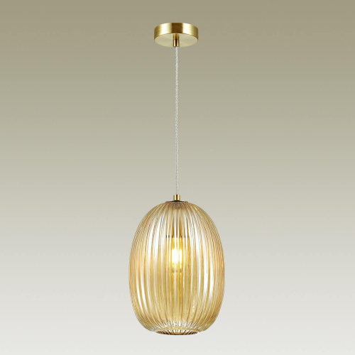 Подвесной светильник Odeon Light Dori 4704/1 Подвесной светильник Odeon Light Dori 4704/1