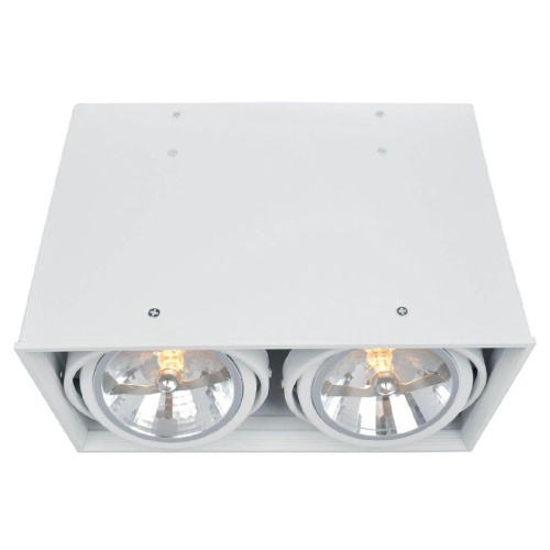 Потолочный светильник Arte Lamp Cardani A5936PL-2WH Потолочный светильник Arte Lamp Cardani A5936PL-2WH