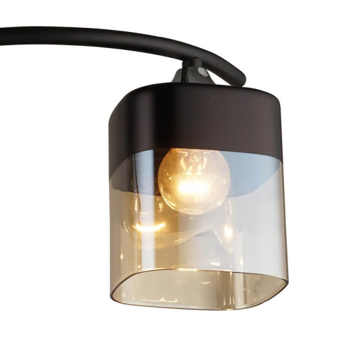 Потолочная люстра Wedo Light Алид 65999.01.13.02