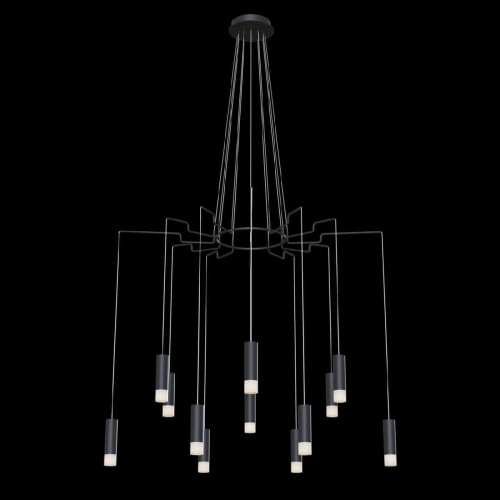 Подвесная люстра Maytoni Davida MOD035PL-12B