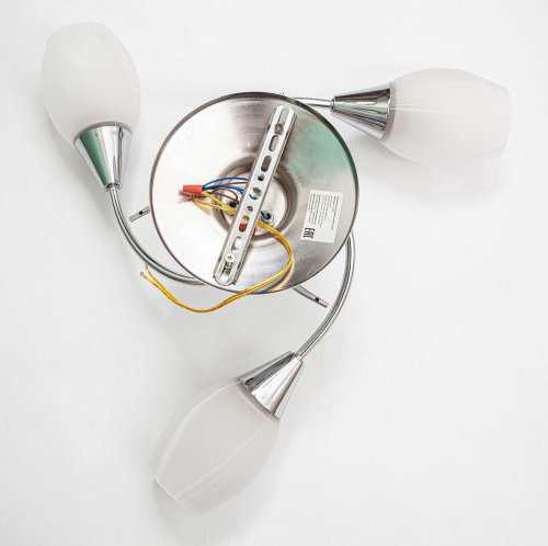 Потолочная люстра Escada 1112/3