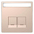 Накладка Schneider Electric Merten D-Life MTN4574-6051