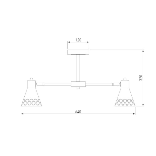 Потолочная люстра Eurosvet Trina 70100/6 черный