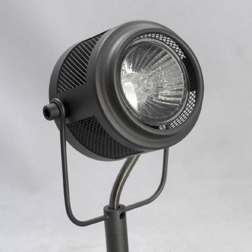Спот Lussole Loft Haines LSP-8046 Спот Lussole Loft Haines LSP-8046