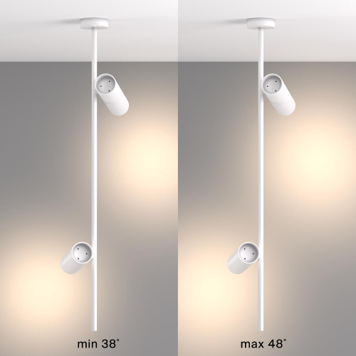 Потолочный светильник Maytoni Elti C021CL-02W