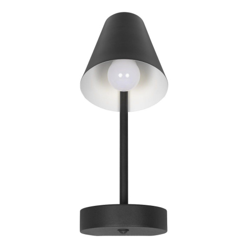 Бра Loft IT Shelf 10216/1W Black Бра Loft IT Shelf 10216/1W Black