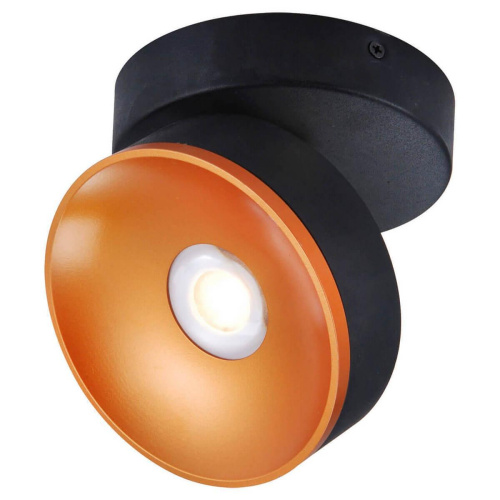Светодиодный спот Lussole Loft LSP-8017 Светодиодный спот Lussole Loft LSP-8017