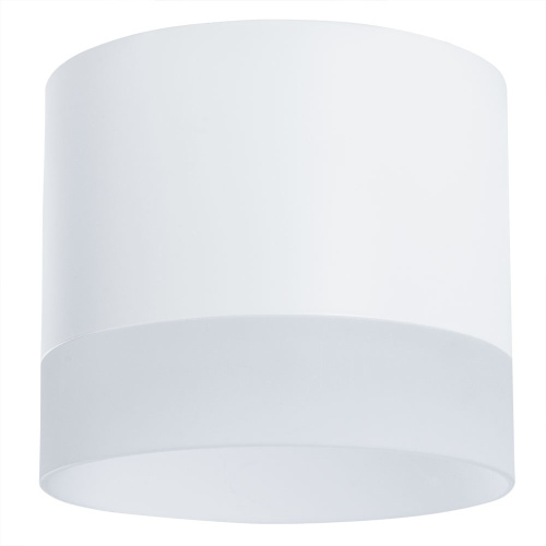 Потолочный светильник Arte Lamp Castor A5554PL-1WH