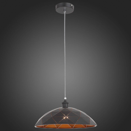 Подвесной светильник ST Luce Enigma SL258.443.01